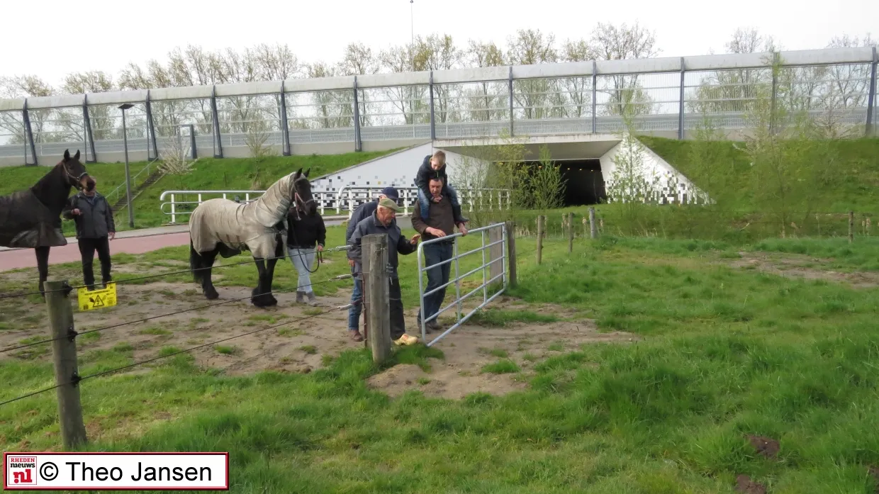 straatweide 30 4 16 003