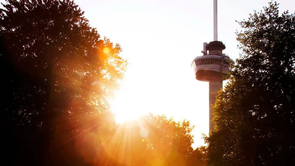 t03uh8oargprd7a5y7uvfuxmf zon 3