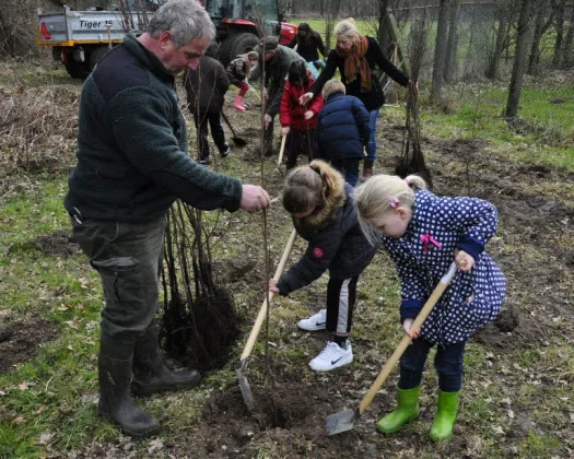 t2gah1hnpbkm6hq5vfw5wrrgc 219738