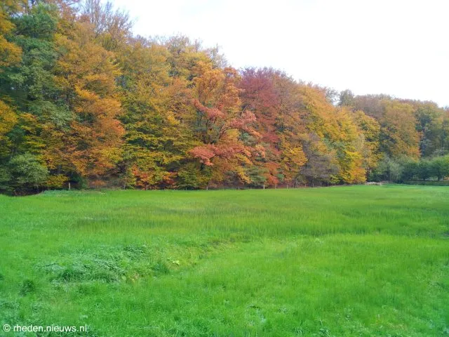 tbcmvmonswbwuxrcnrczig8gj 94669