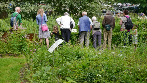 tdzcy6u9r6rb8ve6gkd8ckatq dag van de ivn tuin 2