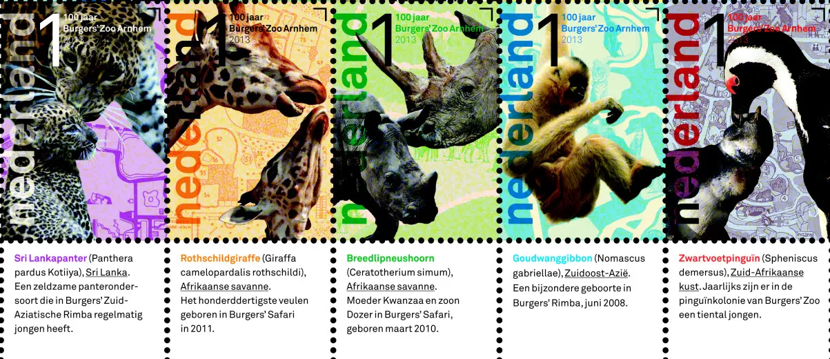 tjc3ko14ggwu0bwoq5brx6uvc 216720