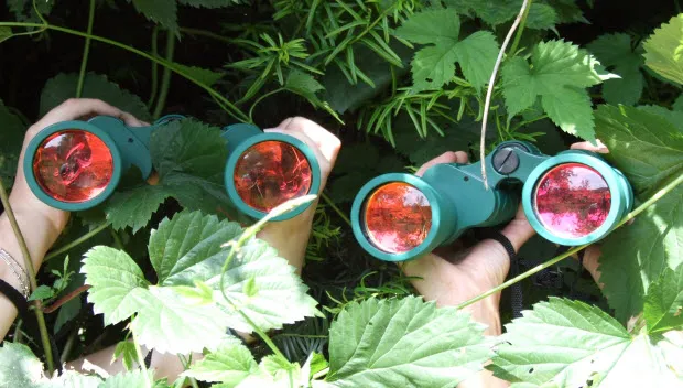 trifjctv0hxqje7f6orbuqjec natuurtocht wil en willy janine pelgrum