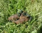 tsp2127jvqsa2o53a2crwcd9t 219869