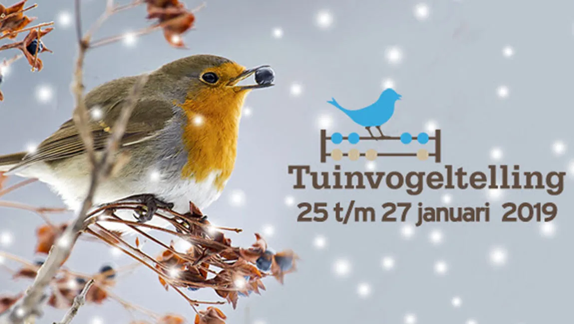 tuinvogeltelling 2019 wwwtuinvogeltellingnl