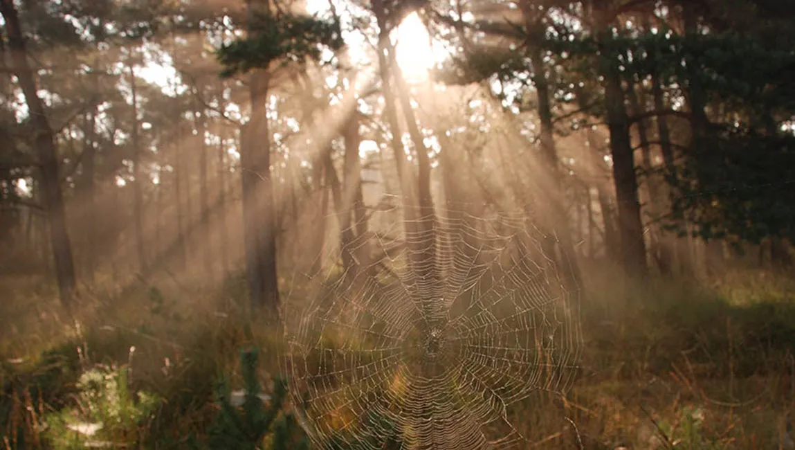 tweede gebiedsconferentie buitengebied