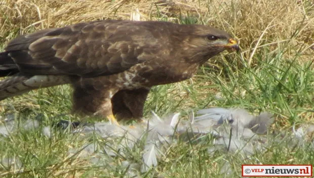 u0m1q3ru8936o7wasjk9c8ru5 buizerd