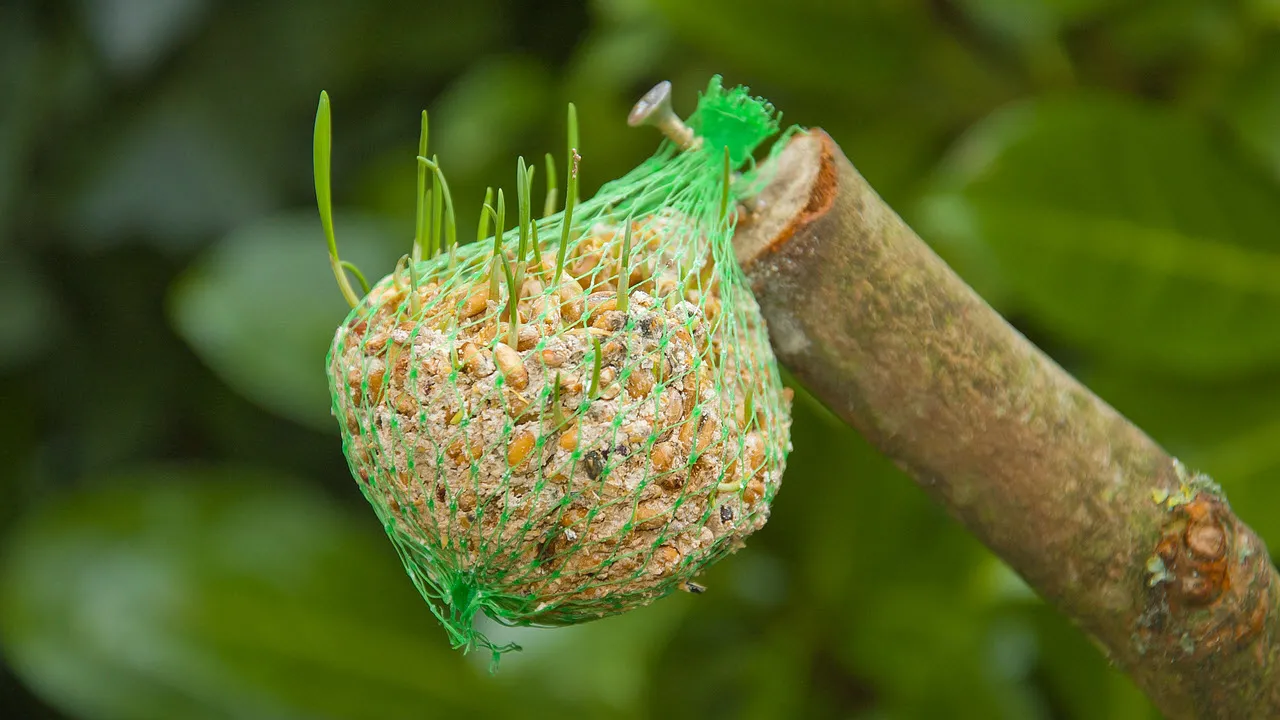 u3om6bv5gtit7ou2mi9w9brxz bdsizer lr zaadbol 1202