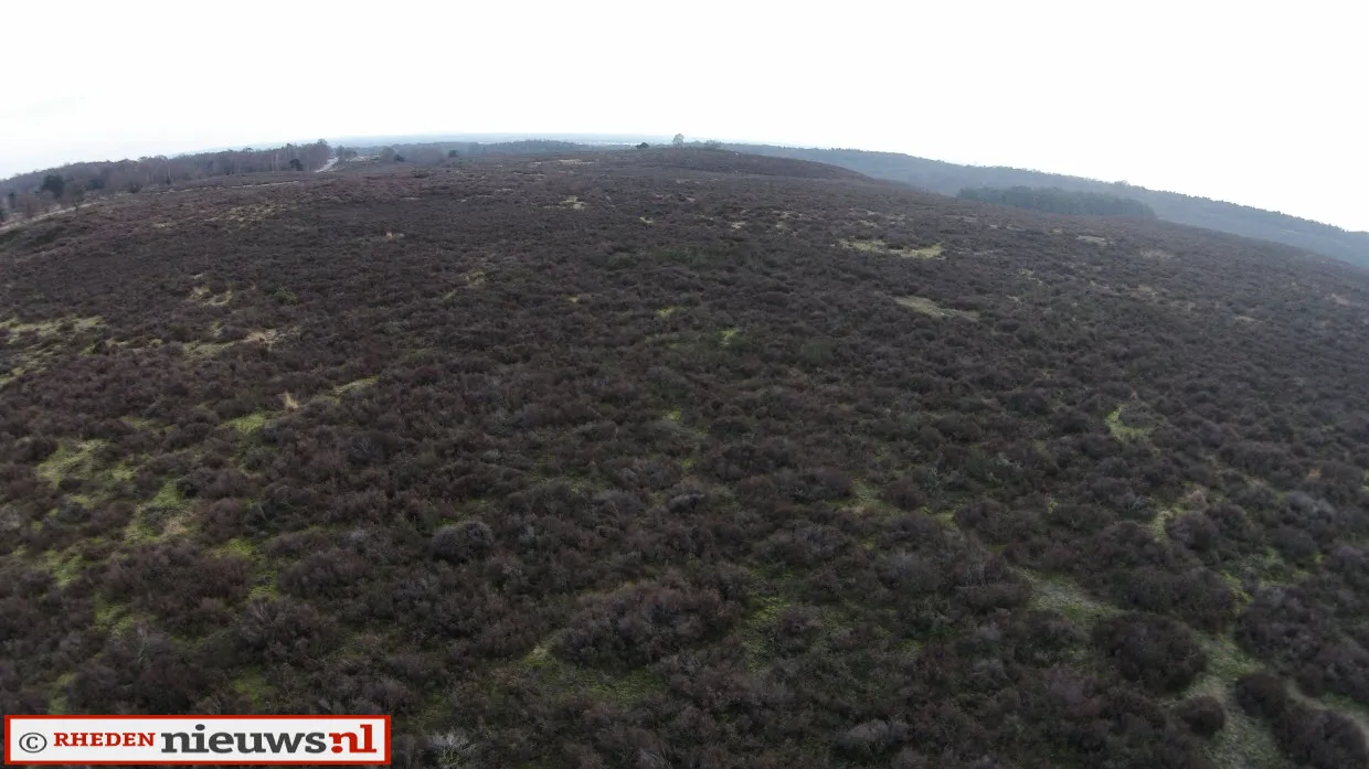 uhl0telnioltf8mcob1tqeljj heide