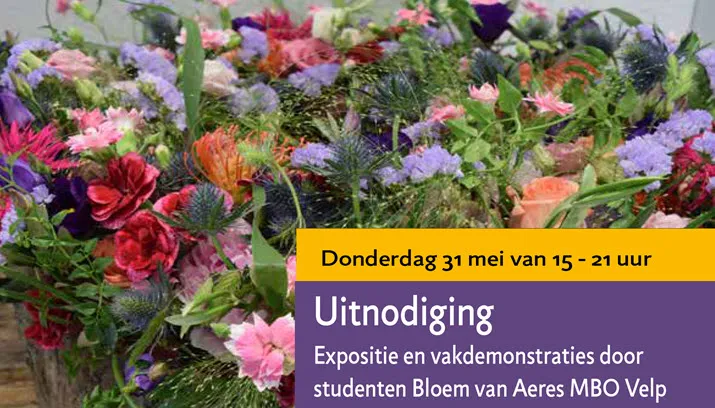 uitnodiging expositie en vakdemonstraties aeres vmbo 1