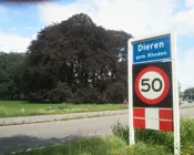 uoa5xvm24ysue1ni1qxge5zq2 155011