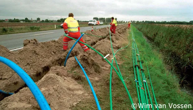 v03f29i7iutg95qxnk8qw3bg0 glasvezel