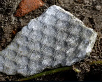 v1k3v8s53x4vkp71je5e6nzqy 228536