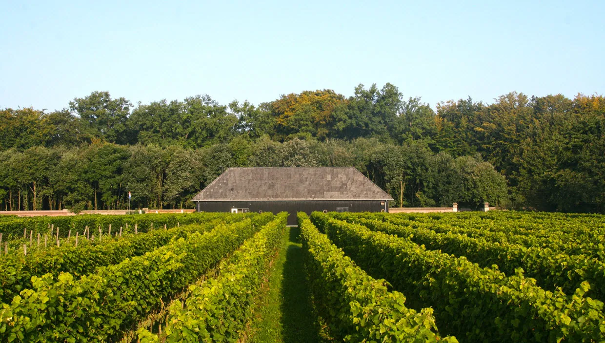 vdt4v4yyxlod5yukj06m9cjk7 domeinhof2014