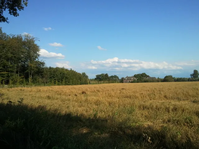 ve7g1dv6go0ly3zbfya0s6l8y 232969