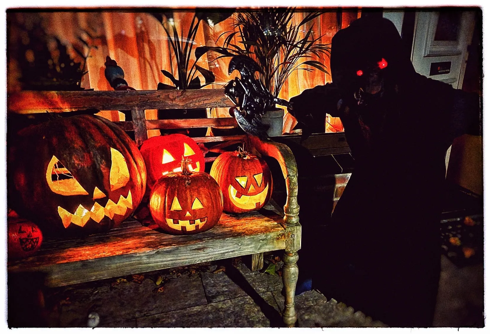 versierd halloween huis foto nienke hoogstraten 1