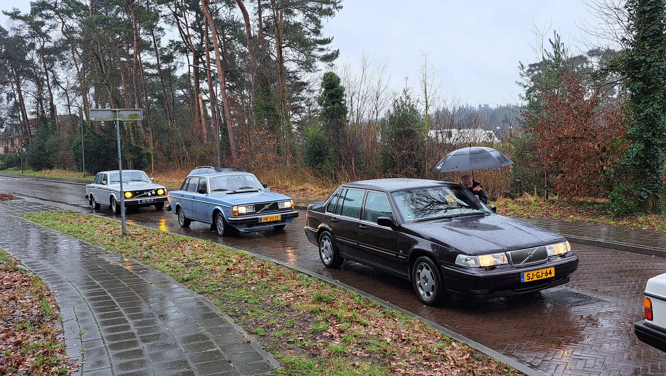 volvo klassieker vereniging snertrit 2024 dieren 1