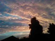 vph2ayl6oikakzqh9t8mdbcmq 90279