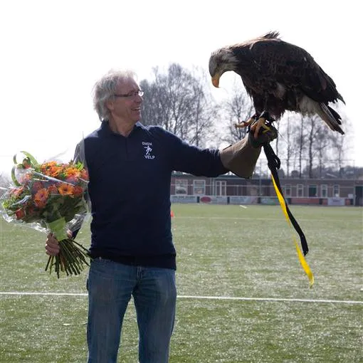 vvhhgkvh9v6czkop1spsailcr 223442