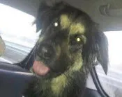 vwrjuwkjy8qu0lt6jx5qe6xde 199504