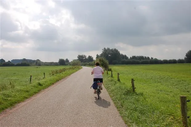 w5g2x6enlll5fcn4v49rwz7pl rhedense fietsvierdaagse 17aug2013 copyright pdwaardrhedennieuw 3