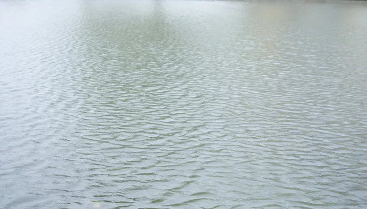 wateroverlast marieke van santen on fotercom