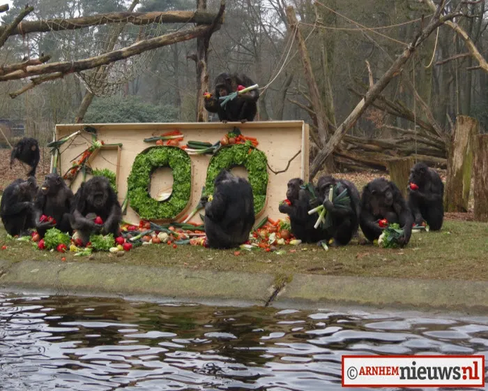 wdtyblkcp3qrm89kmre2ewdpa 222054