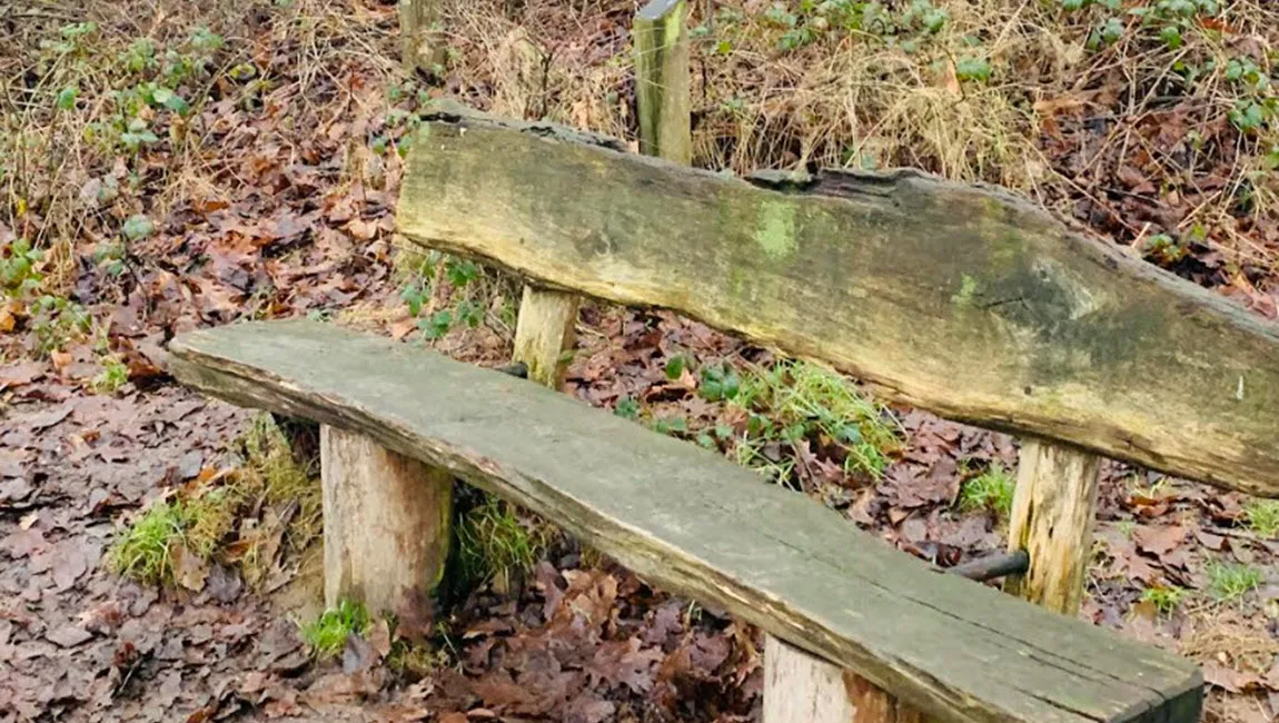 week van de hsp margaretha kuipers