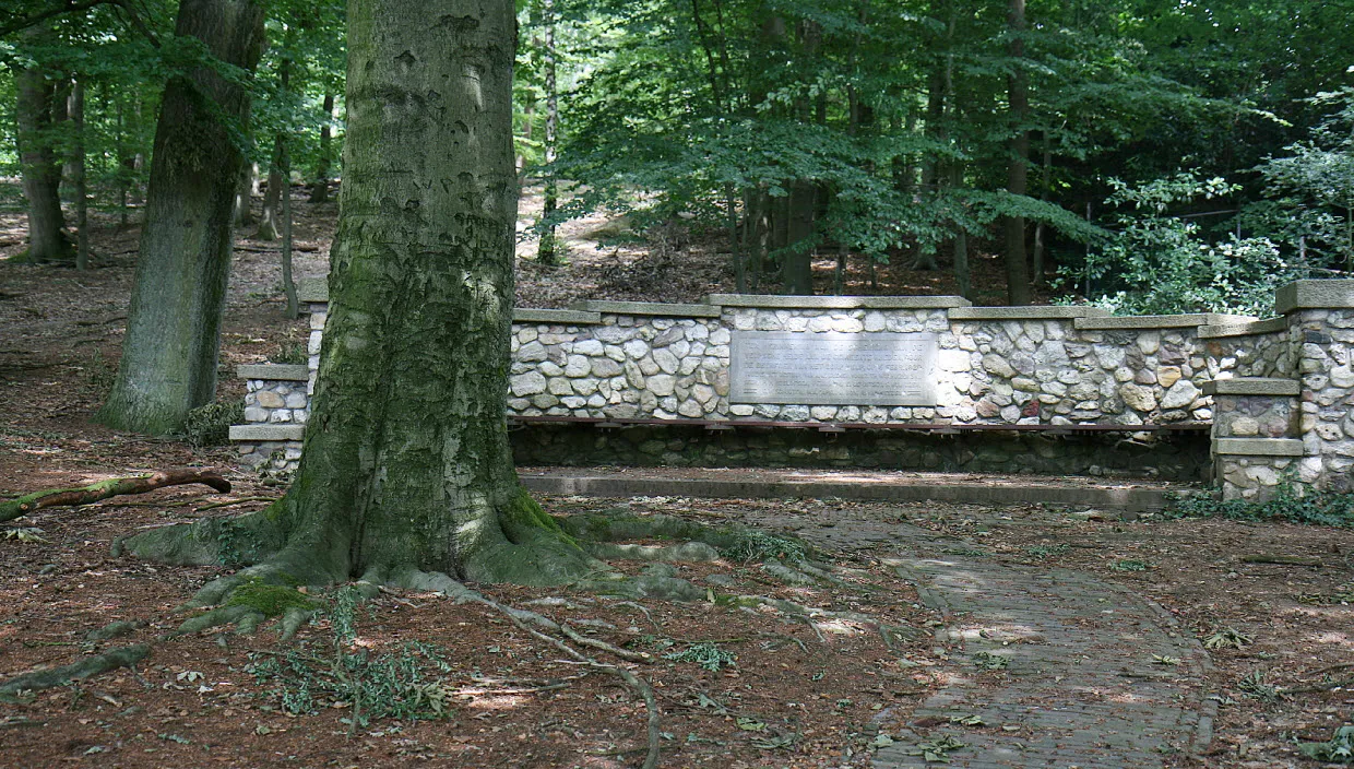 wey7jqwsjmiux89ul8g4ee6st gety1