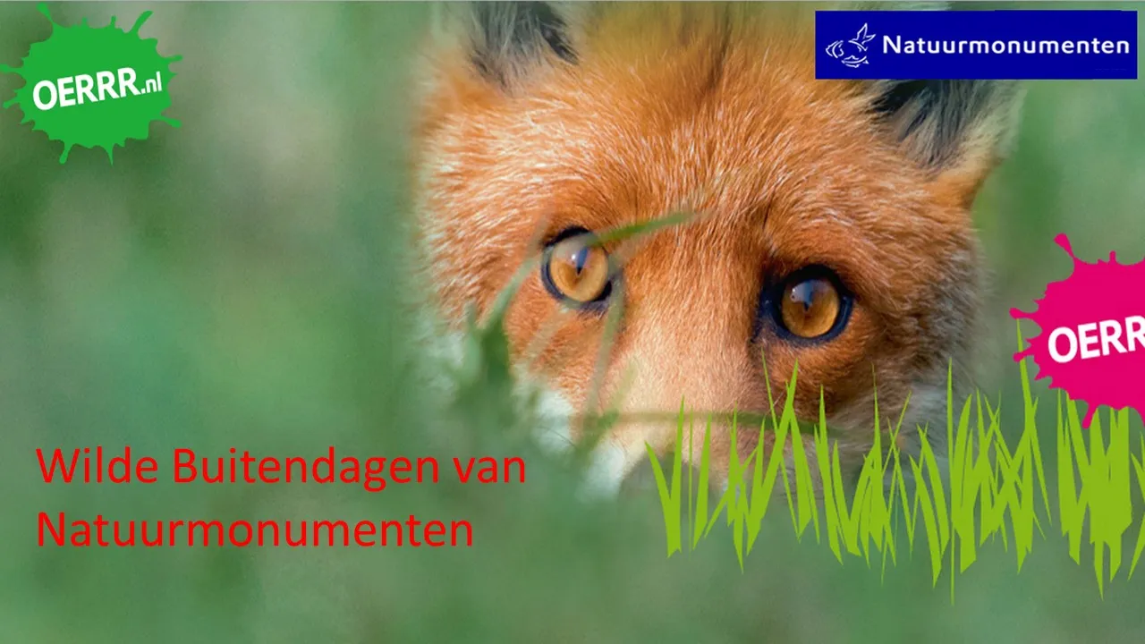 wilde buitendagen 000
