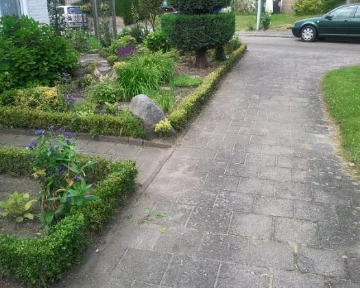 wsgcitpca0qqgf1fynmudfrid 154393