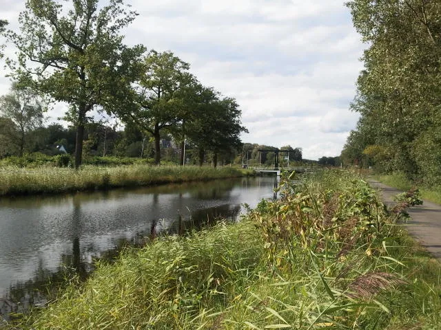 wsr48c94b7gazmvrtq6yqyad8 98503