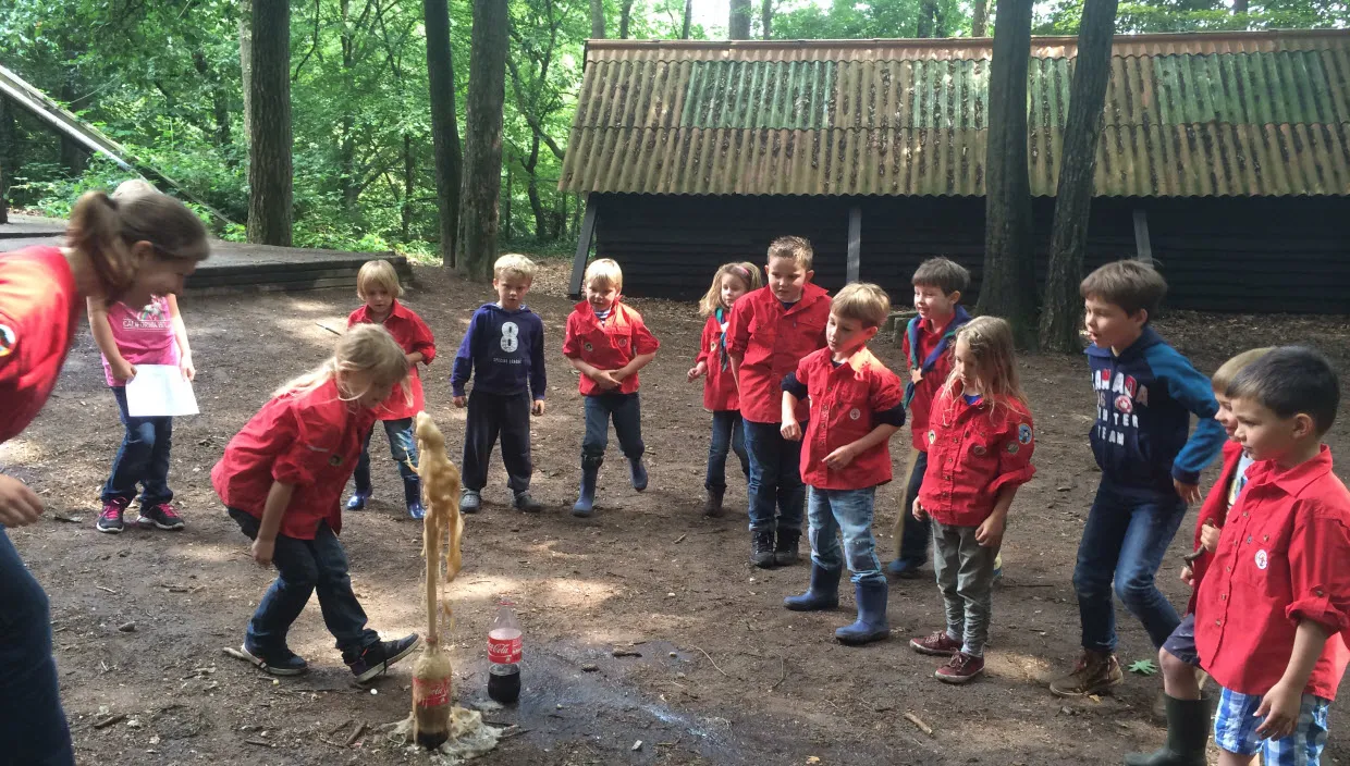 wvzgheyle7nnvhvux5kf2wu6j img2904