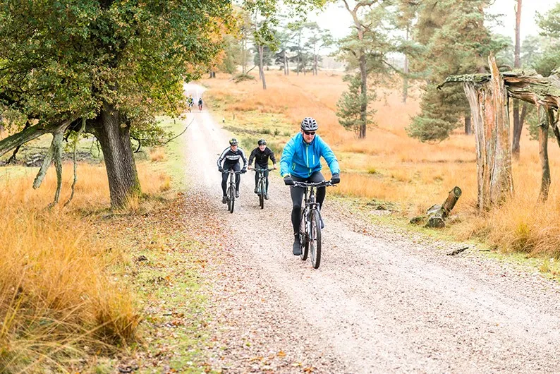 wwwgelderlandnl180109 veluweop1 a94ed0021550c5f684b256c26ec03d73ae00d5f4