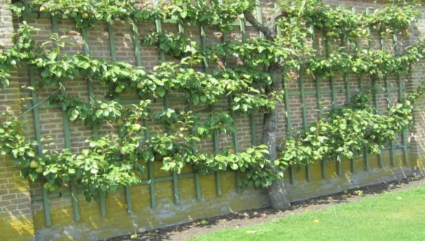 xlea6ta66kkrgum7qv1wr0xk8 middachten leipeer 2014 07 22 13 09 42