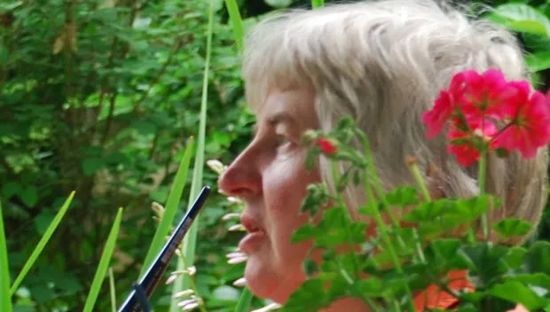 xrcp4kt8yg1pocs6hwggf1xkr paperclip