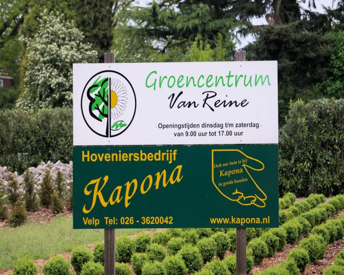 xy20dpywlzh6qvrxpxuxkiphd 233329