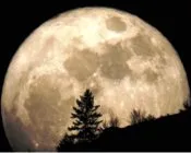 y6uu8u2v9n4nt4asxoi02zljc 139709