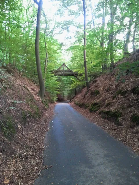 y9x5qrm2i4qwscecnvrzt2yzy 83172