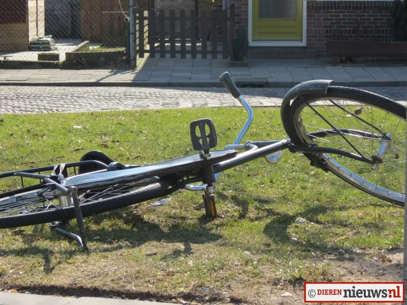 yaob25kghtkwhkslv3acpioi9 dieren014