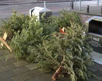 yc0wwv1jm2sbr67n77rz3s59q 200578