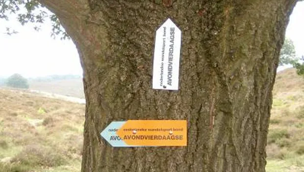 ye69b46hwmkgyzaxymauxy9yi avondvierdaagse