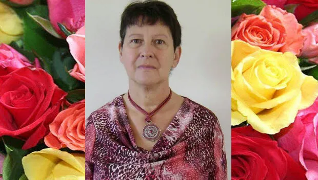 ypdh1qnuhl1jc0ppnhhq28eqh sylvia