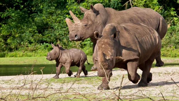 yqh8xjicvmh4qcl8lyvp36siu neushoorntje1