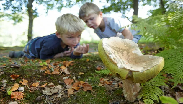 yxtcqvdt55xykxka6u85ybpca natuurmonumenten boleetlaurence delderfield