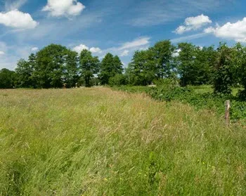 z4nsuy5dy11r13fu15jh4ghnw 225843