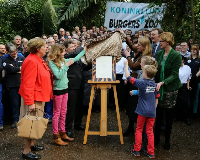 ze63782g51bzwtlj9r96m0nmr 220890