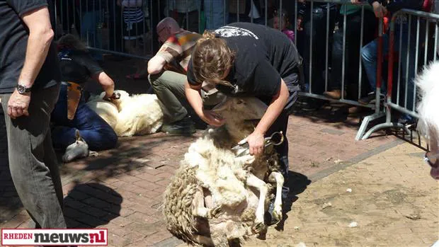 zgzlj4dbct6b1ambhk4ioklyq rheden schfeest rhn 3