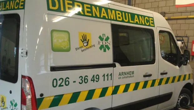 zqjzg8yy4mzf3rflb33qr4udp ambulancenw