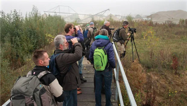 zs08lkensul7rju8q1o28rwhn vogelaar2